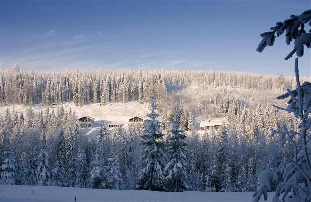 Karkutahko Villas Ruokonen Экстерьер фото