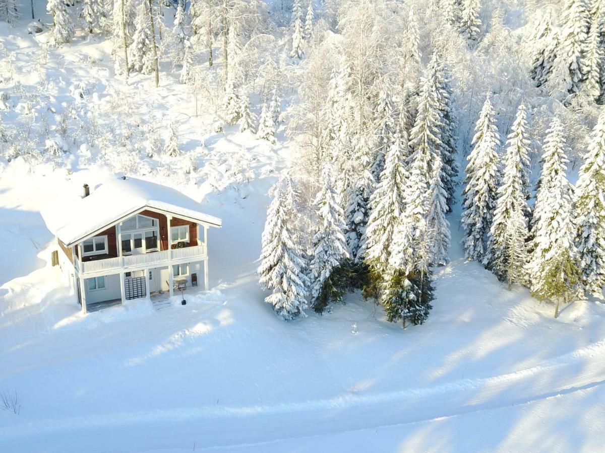 Karkutahko Villas Ruokonen Экстерьер фото